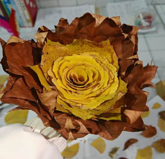 图示, 示意图

中度可信度描述已自动生成:ver1